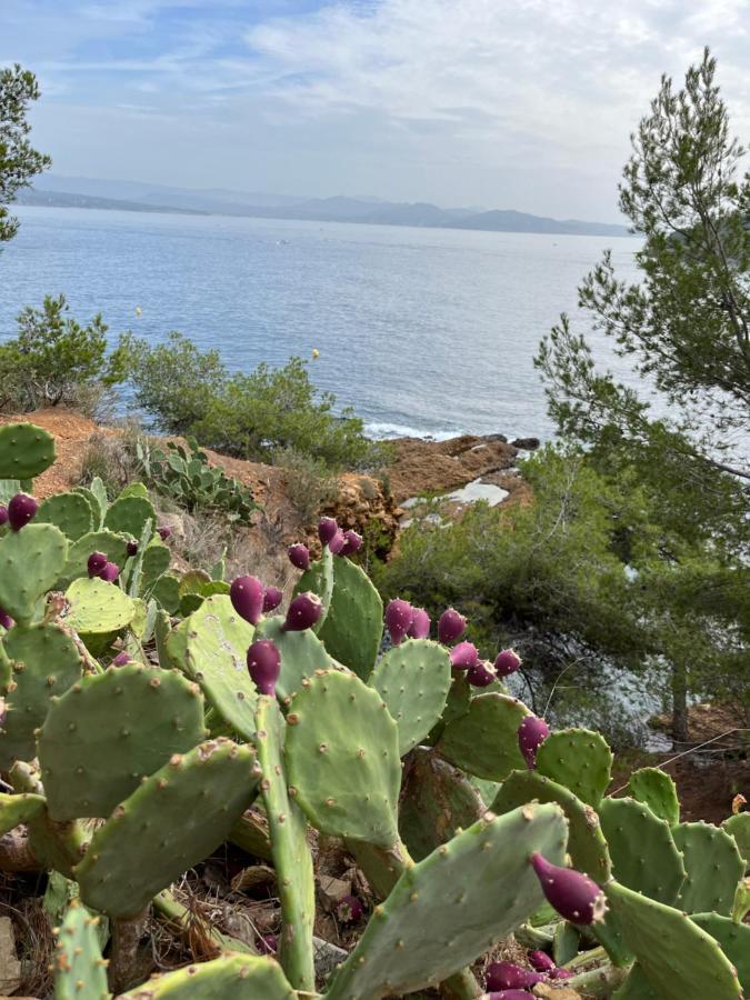La Ciotat Vieux Port 2 아파트 외부 사진